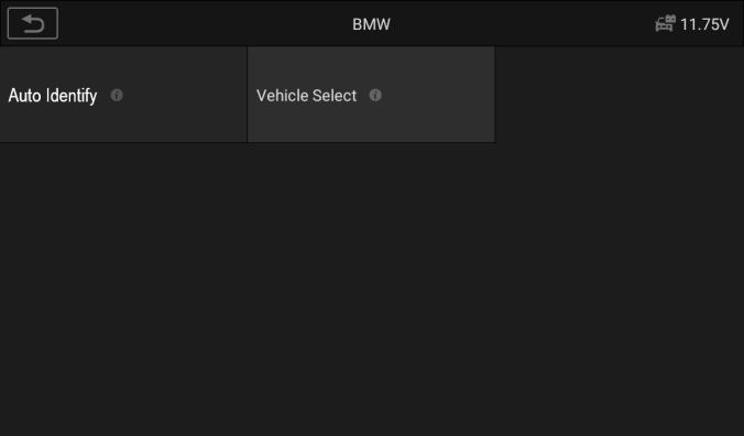 Marken-Menü: „Auto Identify" oder „Vehicle Select"